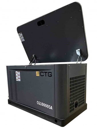 Газовый генератор CTG CG10000SA